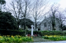 Daffodils at St Piran&#39;s